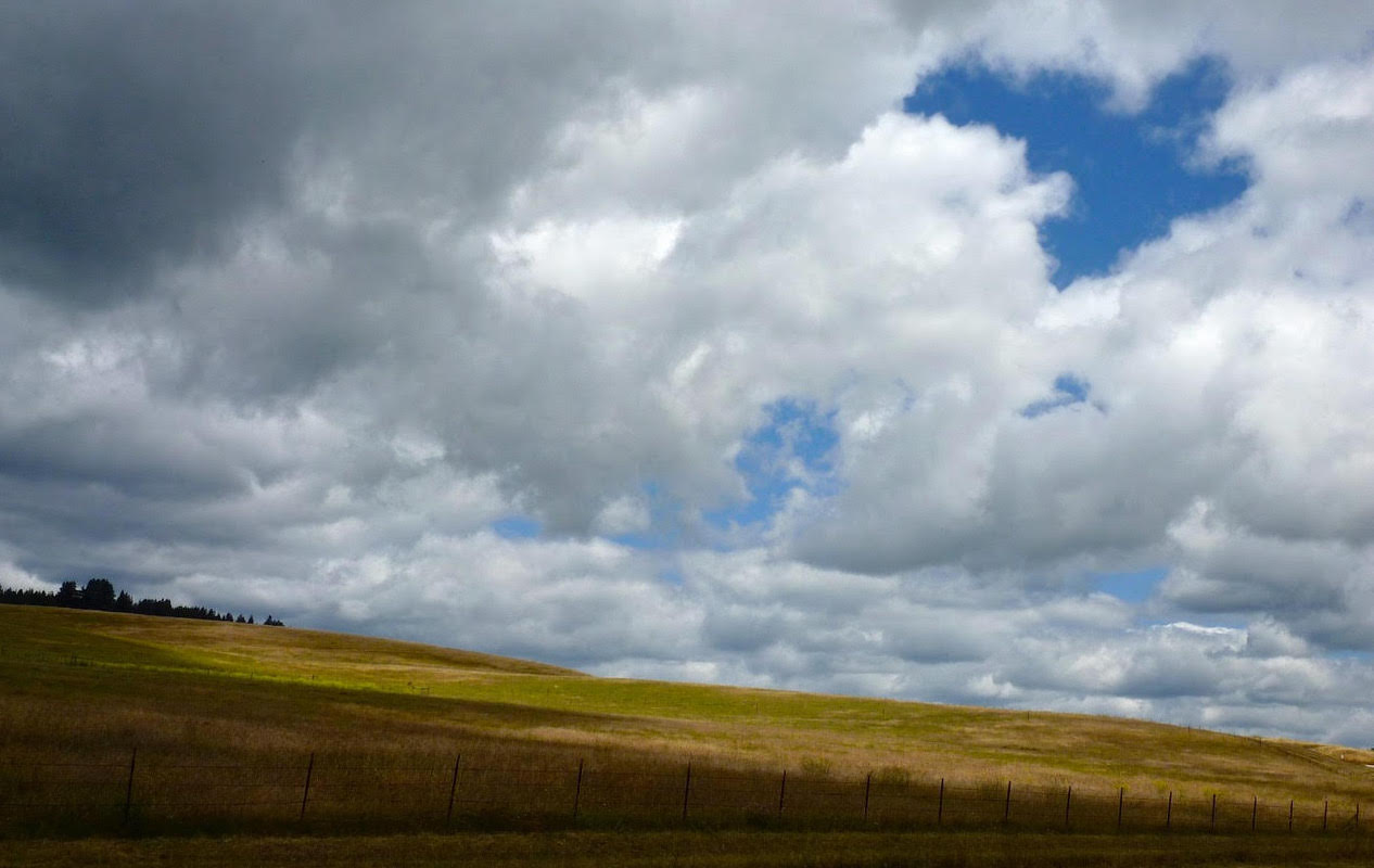 UCSC-east-meadow