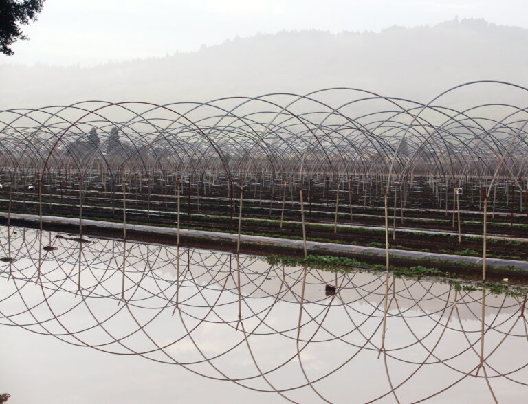 How the Pajaro Flooding is Impacting California