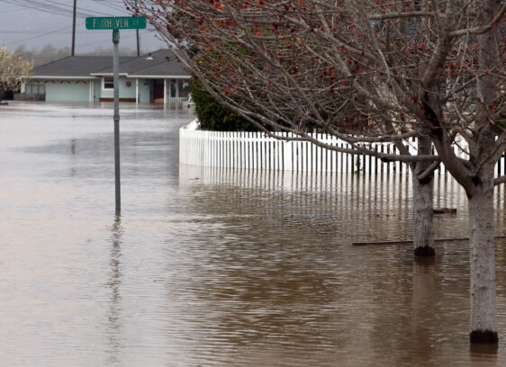 Pajaro Levee Repairs Underway, Floodwaters Rising