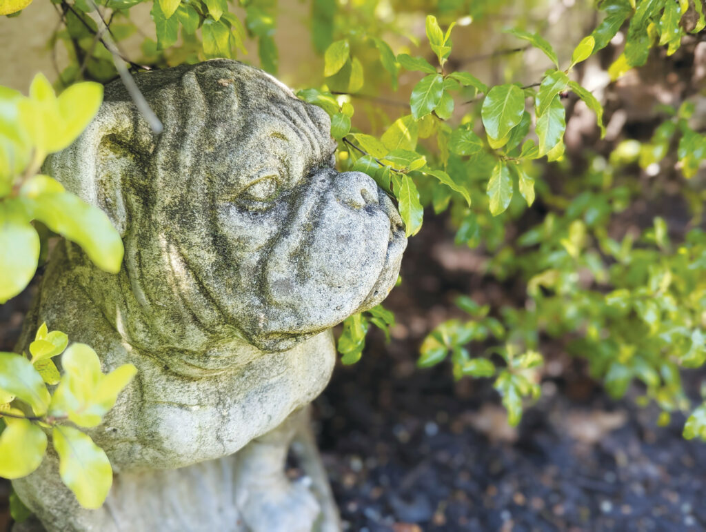 Rob Brezsny Bulldog Statue