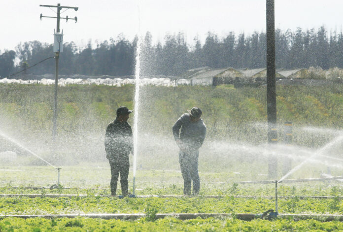 Examining the Aftermath of the Heavy Rainfalls in Santa Cruz County broken irrigation system