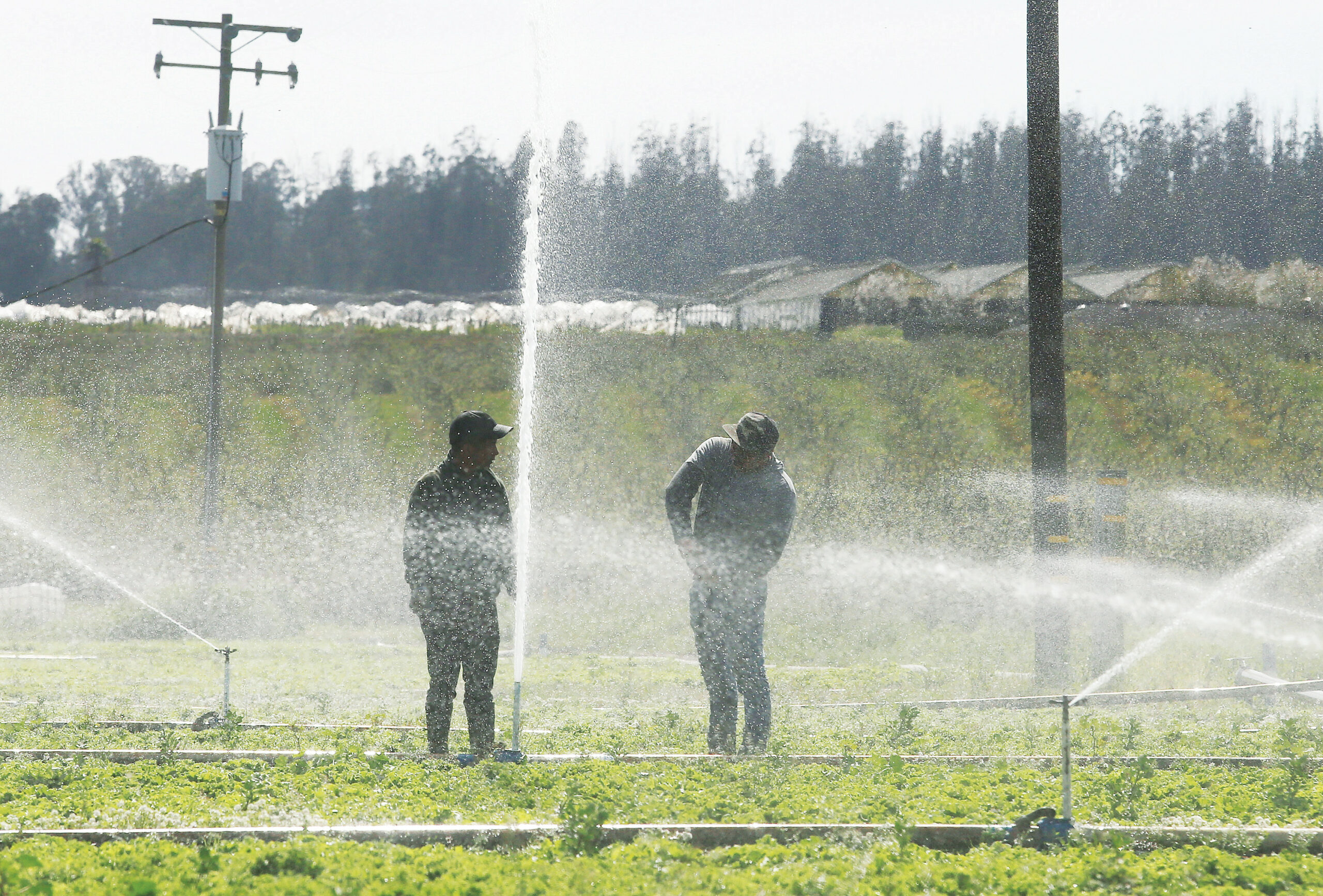 broken irrigation system