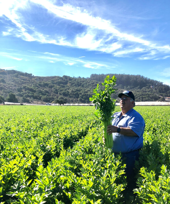 Why Santa Cruz is a Place Like No Other Lakeside Organic Gardens