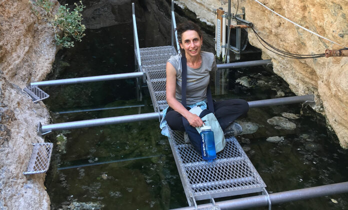 Opinion: Journalism Can Be Literature Elizabeth Kolbert