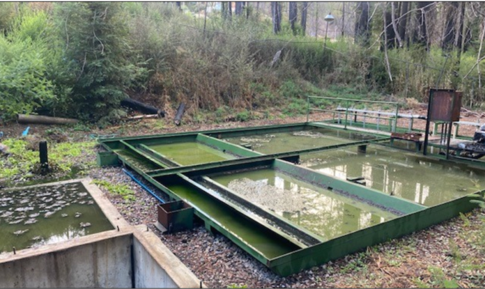 The Struggle for Safe Water Continues for Boulder Creek Residents Big Basin Water Company