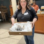 Image for display with article titled Mastodon Tooth Discovered in Santa Cruz