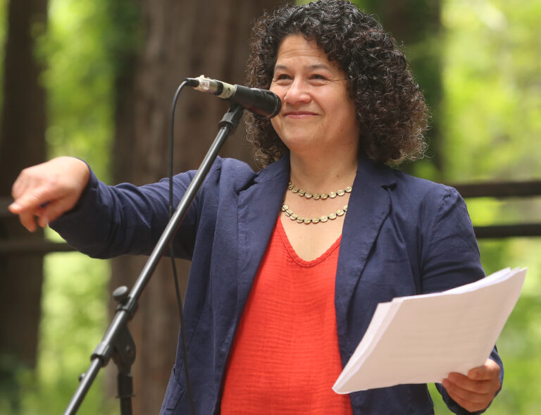 Lani Faulkner Launches Supervisor Campaign