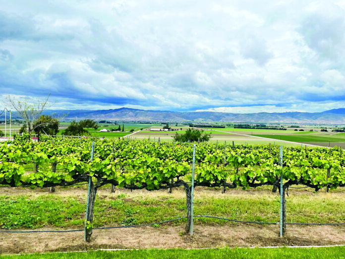 Hahn Estate: 2021 GSM is Complex Goodness Hahn Estate Winery