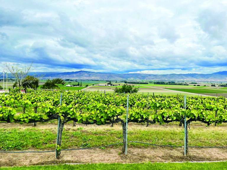 Hahn Estate: 2021 GSM is Complex Goodness