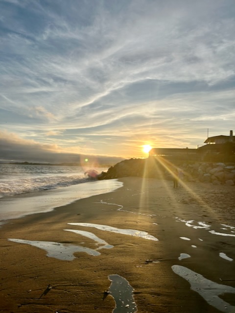 things to do near me, events near me, live music, live events, live bands, events, Santa Cruz events, things to do in Santa Cruz, Santa Cruz