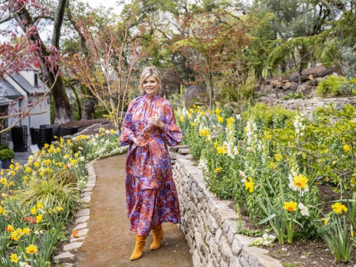 Frank Family Vineyards wine, local wine, vineyards, vineyard, winery, wineries, white wine, red wine, rose