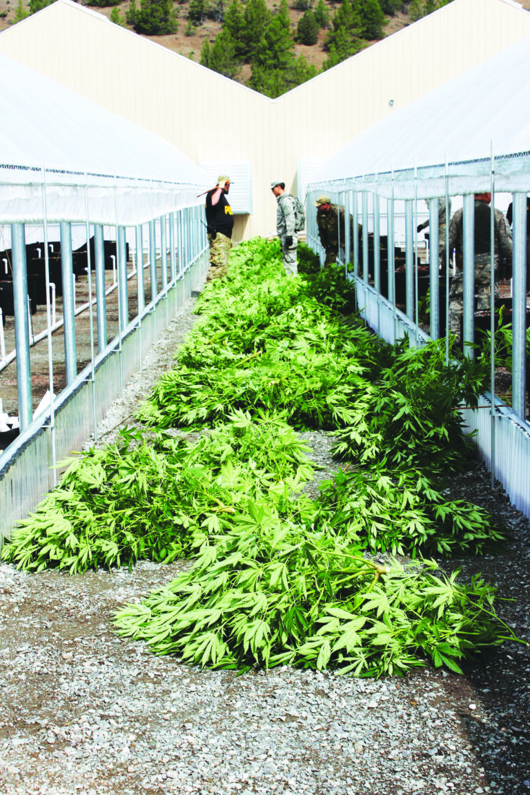 New Drug War