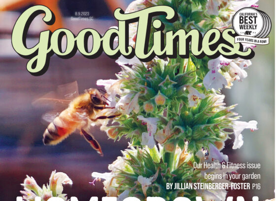 Growing For Your Health Right At Home