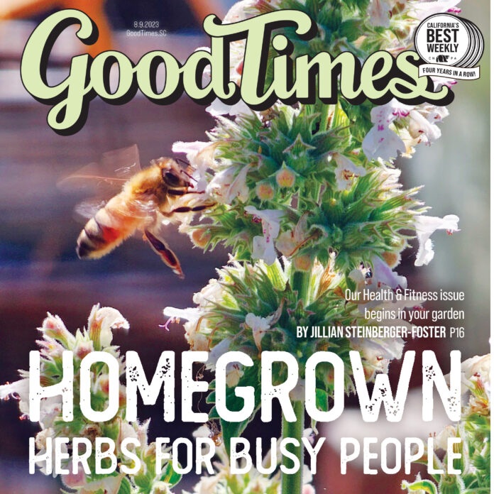 Growing For Your Health Right At Home