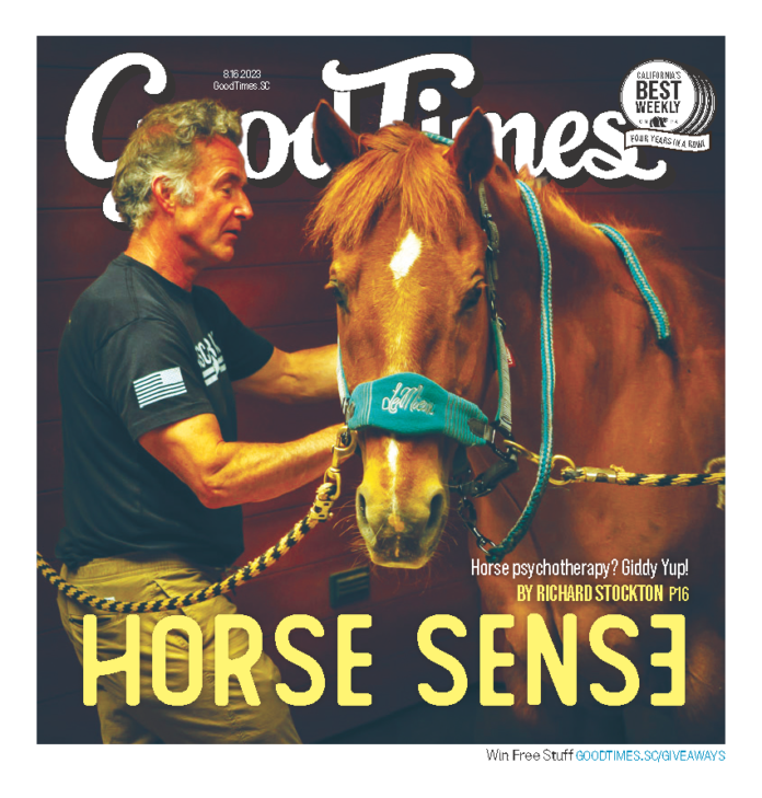 The Horse Therapy Tales