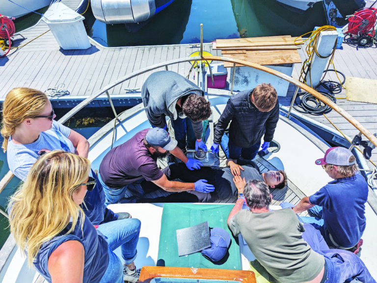 Newborn Program Trains Monterey Bay Fishermen to Prevent Disaster