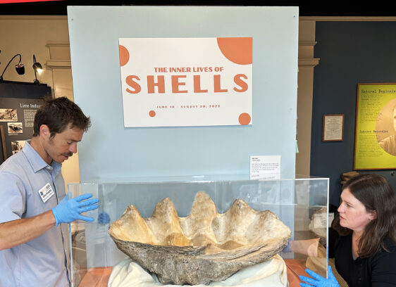 From Fossils To The Future