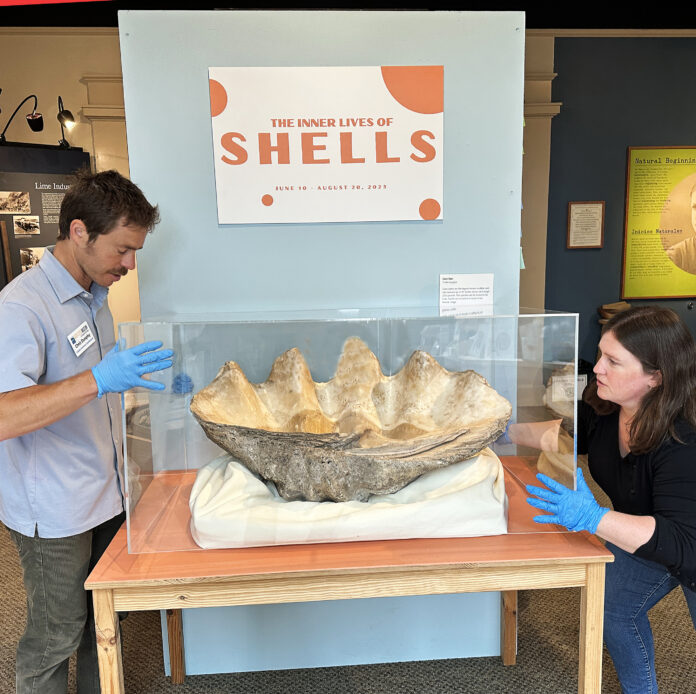 From Fossils To The Future