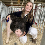 Image for display with article titled Santa Cruz County Fair Opening Day