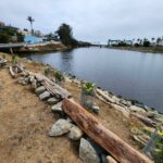 Image for display with article titled City Reports Vandalism to San Lorenzo River Levee