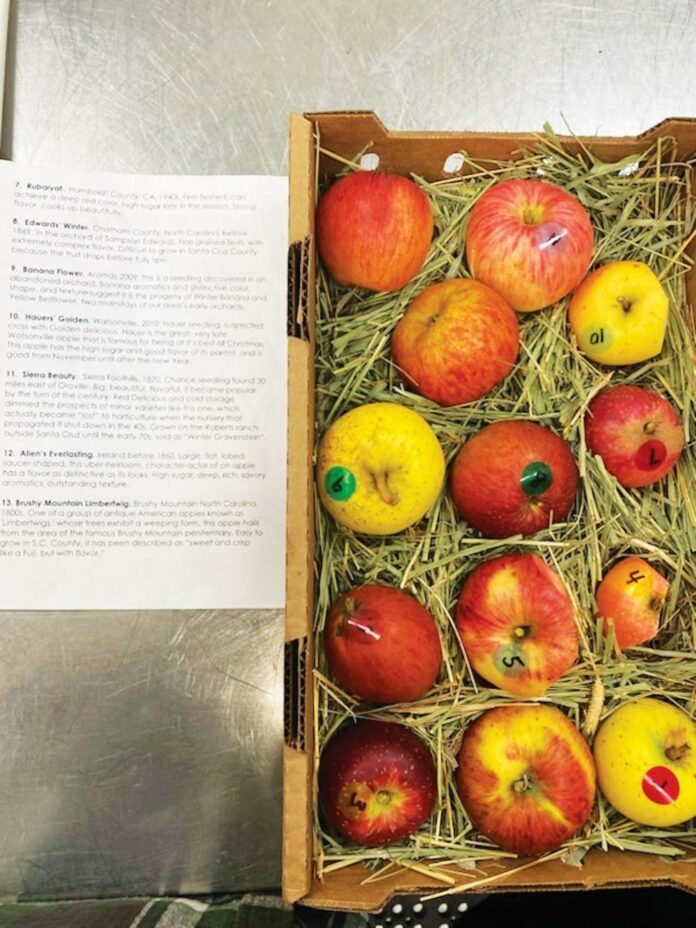 Everlasting Apples