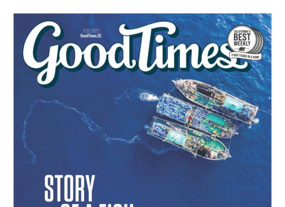 Teach Them How To Fish…