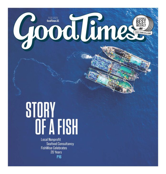 Teach Them How To Fish…