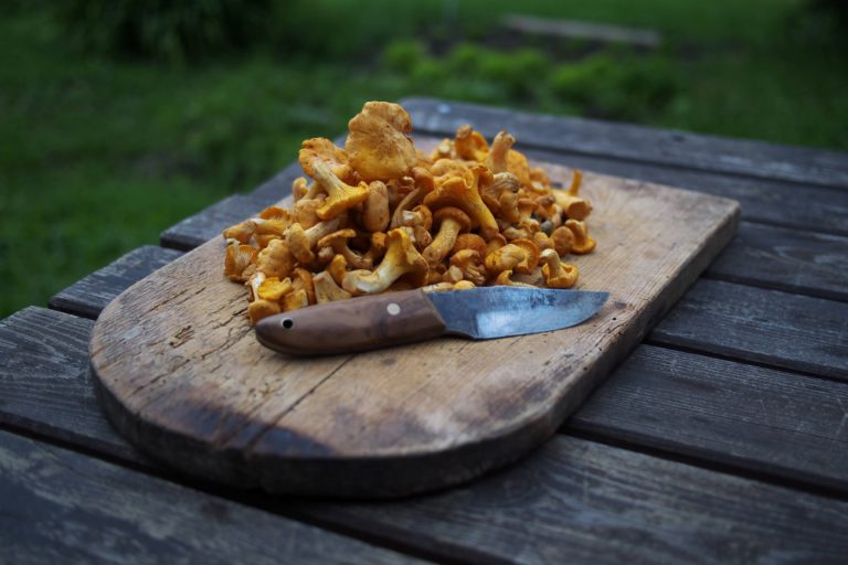 Fungus Fair turns 50