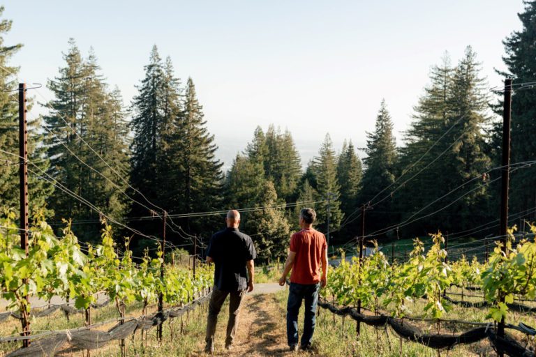 Left Bend Winery