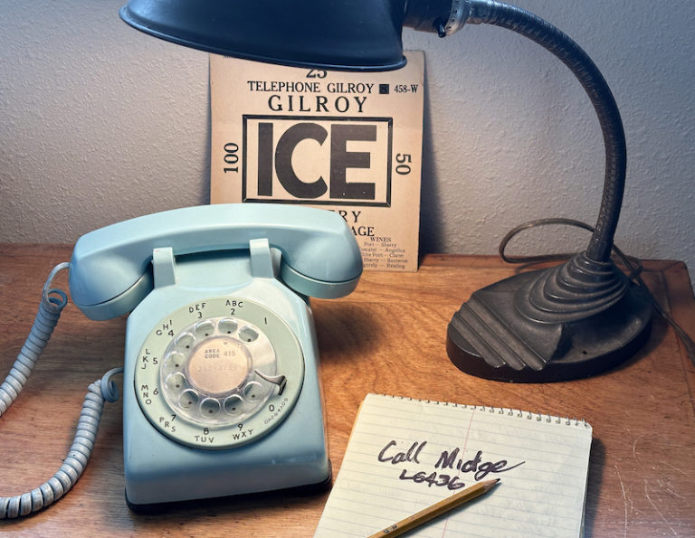 County Wants to Save Landlines
