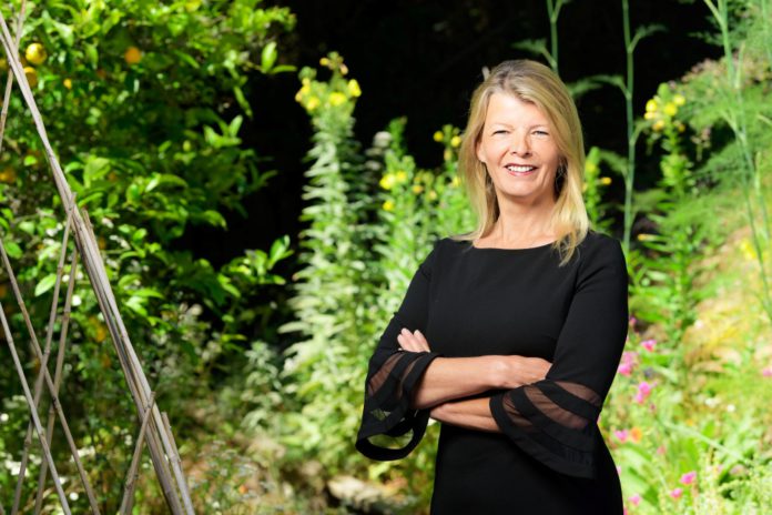 Grow Curative Plants at Home