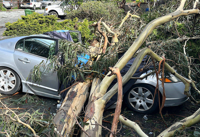 One dead, several houses damaged in windstorm