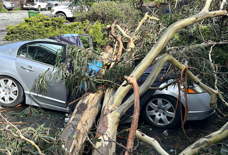 One dead, several houses damaged in windstorm