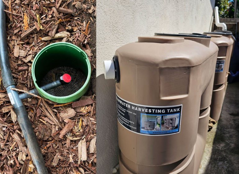 Why Water-Saving Strategies Matter