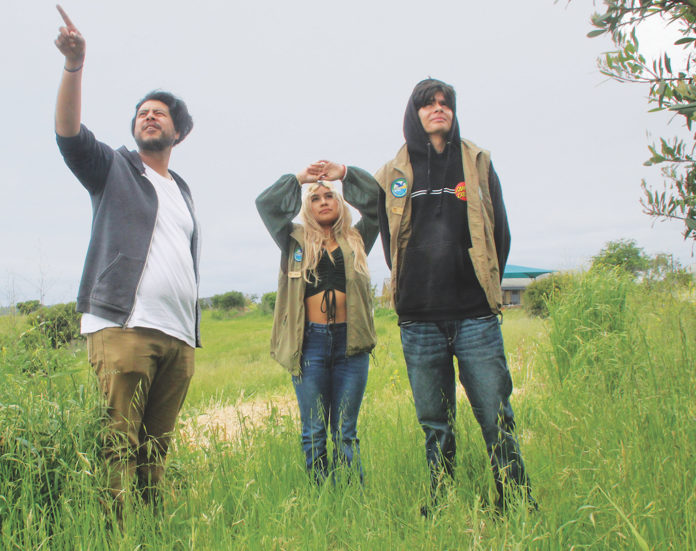 Wetlands to Mountains