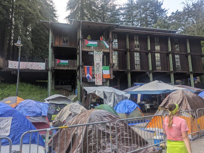 Demanding Divestment