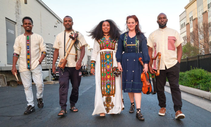 Things to do in Santa Cruz