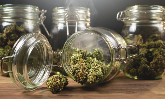 Bud or Booze?