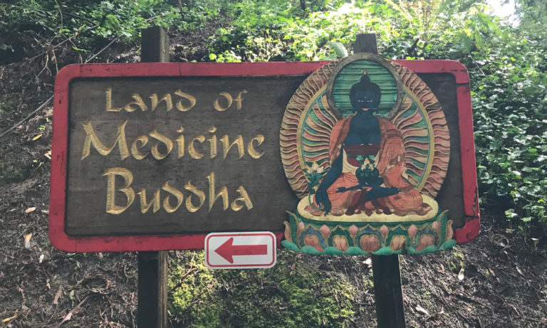 Land of Medicine Buddha Hike