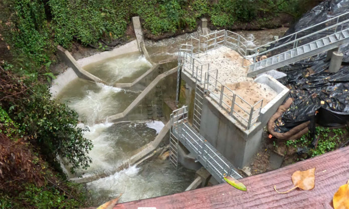 Following the Fall Creek Fish Ladder Trail View from above of a river flowing down a concrete structure