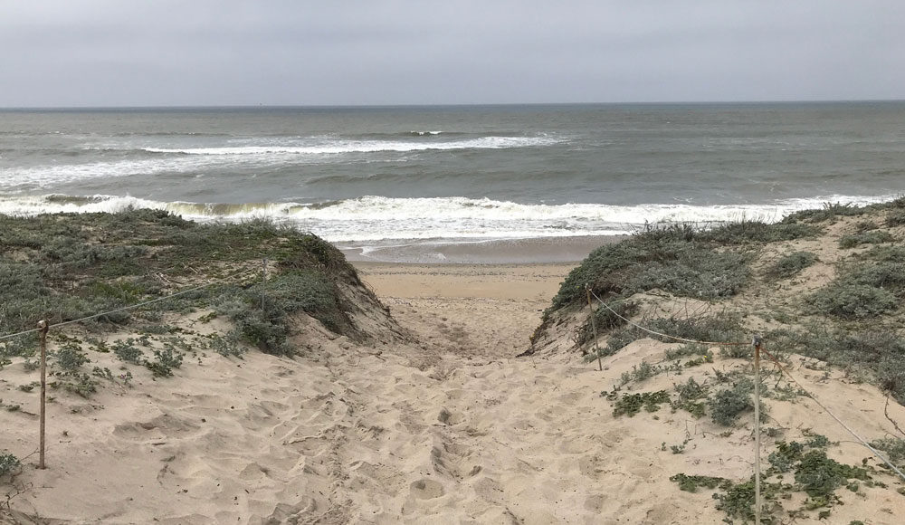 View of sand dunes and ocean