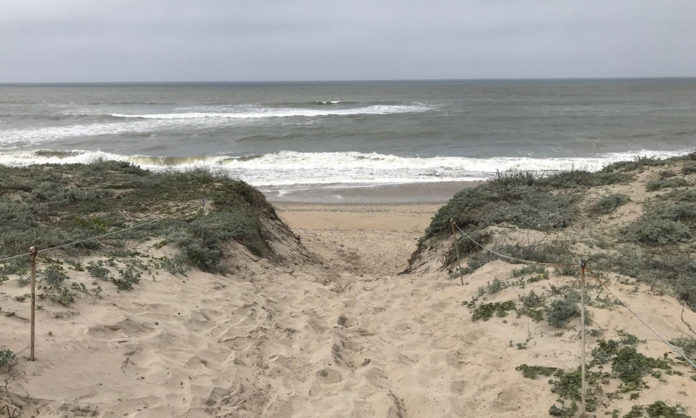 Salinas River Beach State Park Hike View of sand dunes and ocean