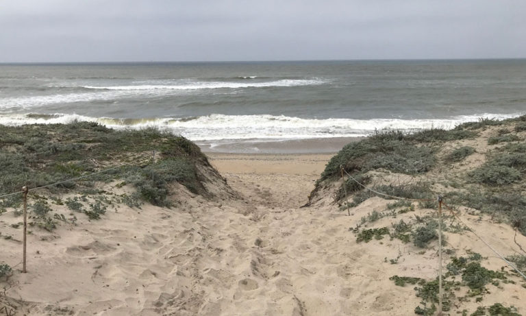 Salinas River Beach State Park Hike
