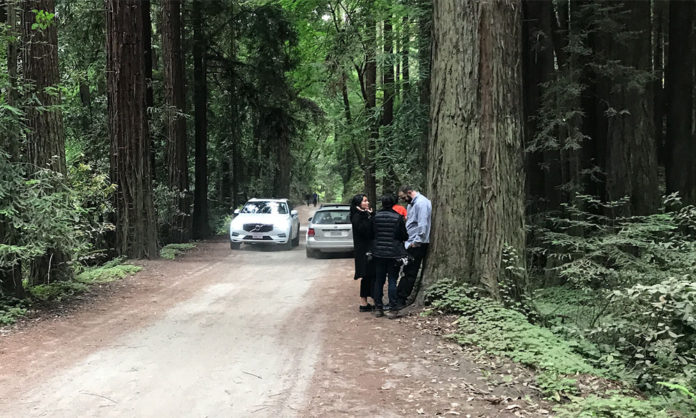Aptos Creek Fire Road Trail Hike People standing on a narrow forest road near parked cars
