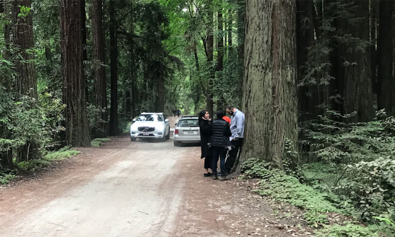 Aptos Creek Fire Road Trail Hike