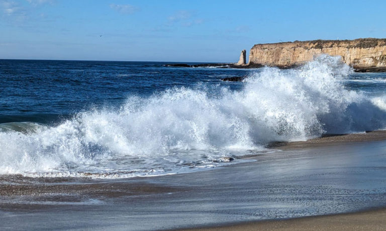 Seasonal Health and Wellness