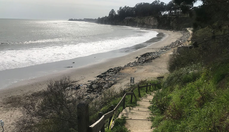 Take a Hike: New Brighton Beach State Campground Is Rising