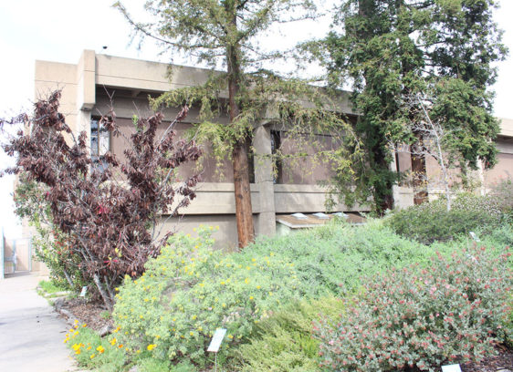 Grand Jury Report Scrutinizes Behavioral Health Division Santa Cruz County Building