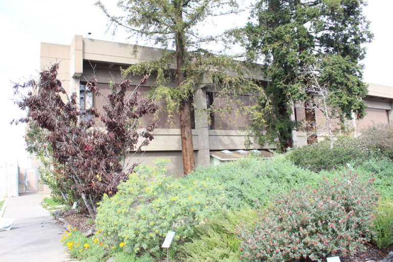 Grand Jury Report Scrutinizes Behavioral Health Division