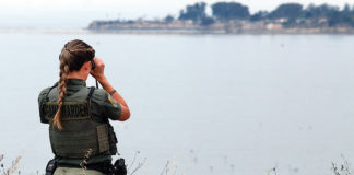 Woman in parks uniform peering at a wetland through binoculars